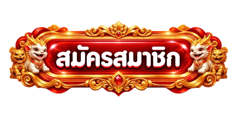 หน้าเข้าสู่ระบบ PDD555 ล็อกอินผ่านมือถือ